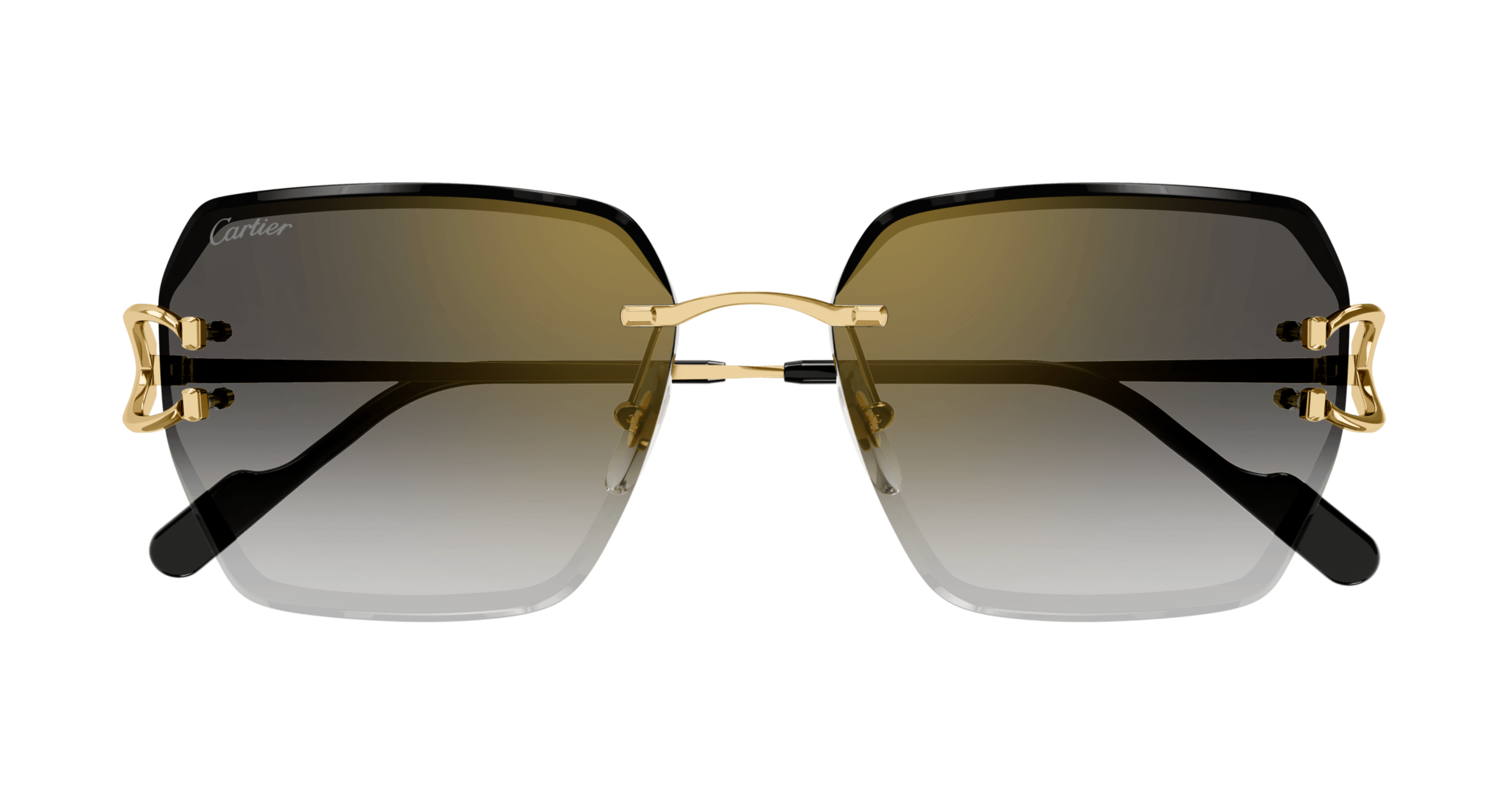 Cartier CT0466S
