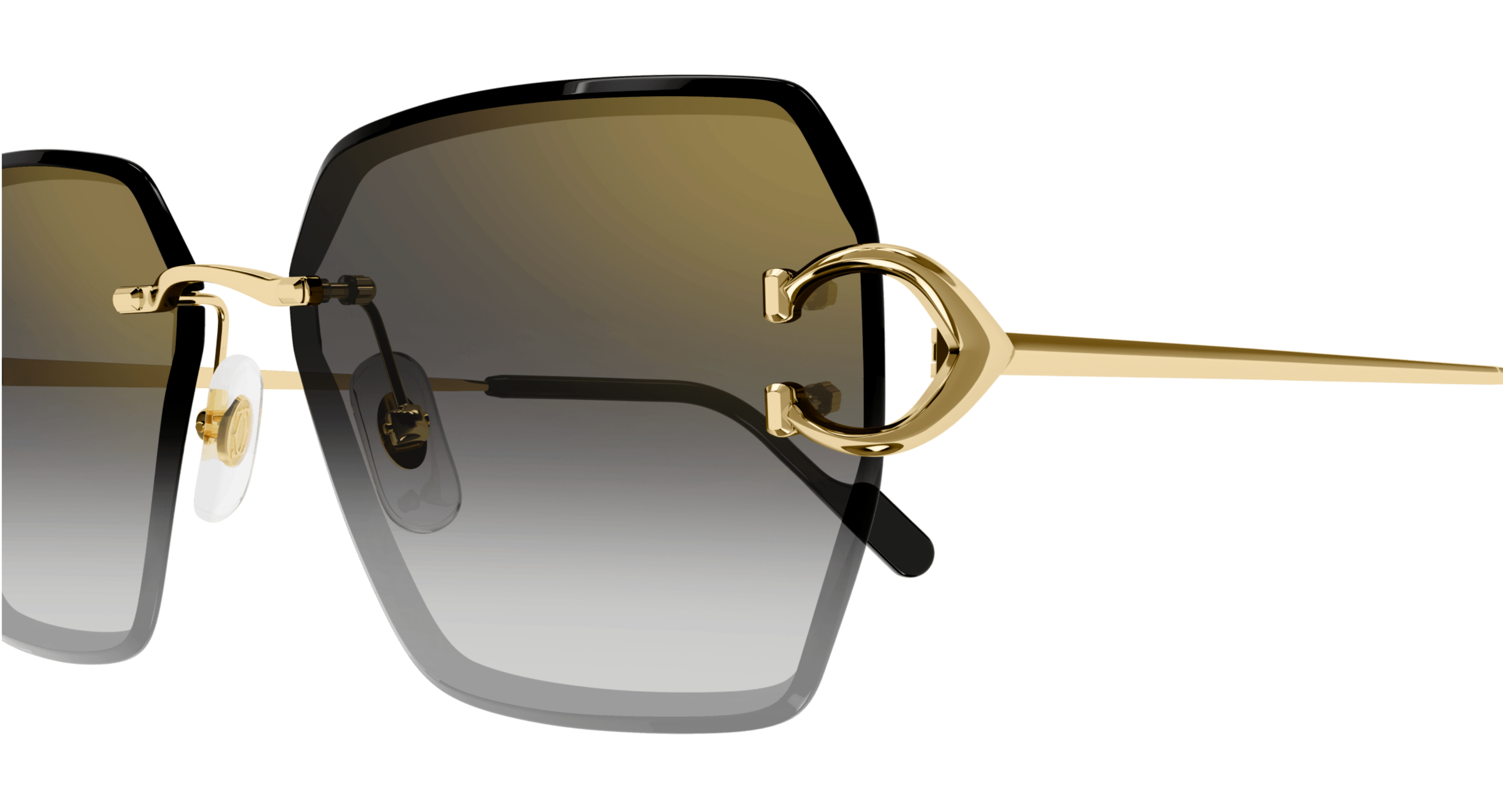 Cartier CT0466S