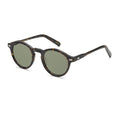 Moscot Miltzen Sun in Tortoise